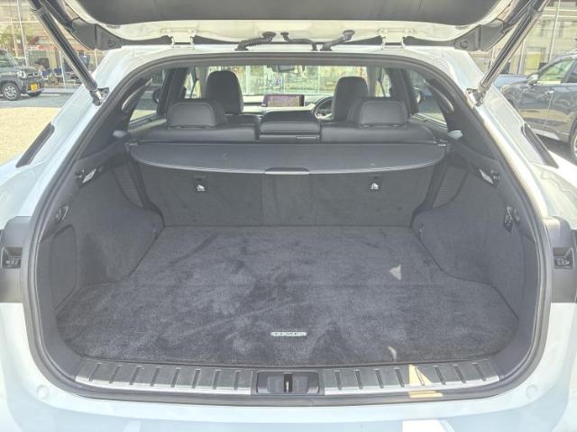 Lexus RX 10