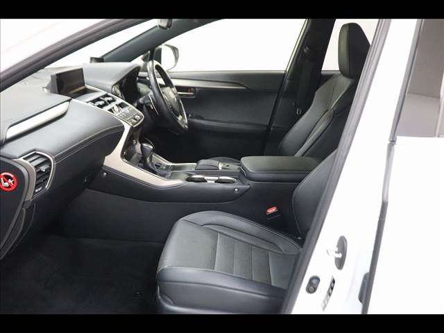 Lexus NX 12