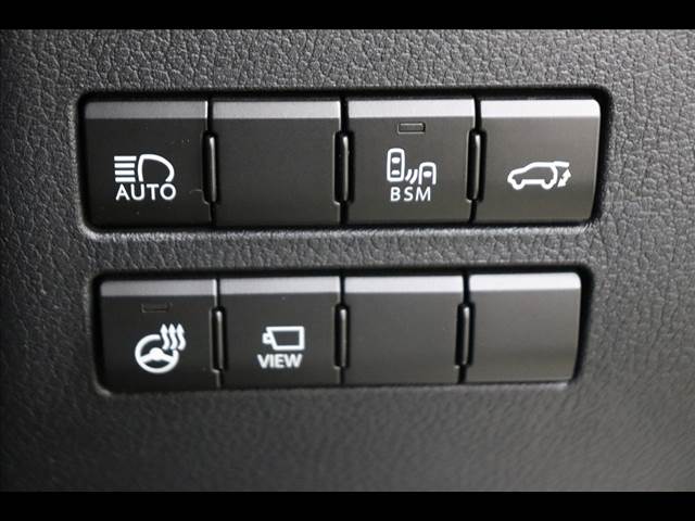 Lexus NX 7