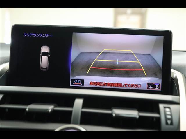 Lexus NX 8