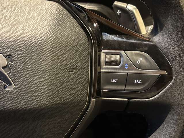 Peugeot SUV 2008 11