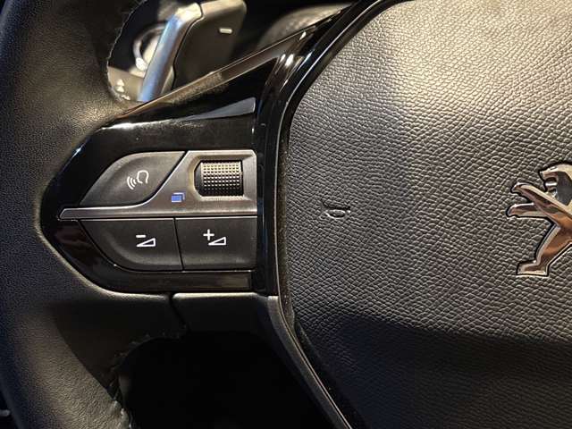 Peugeot SUV 2008 10