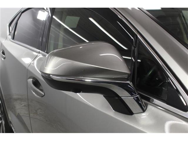 Lexus NX 11
