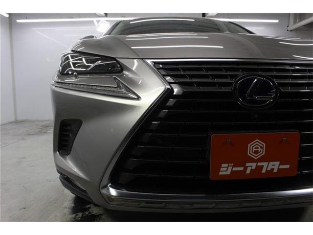 Lexus NX 12
