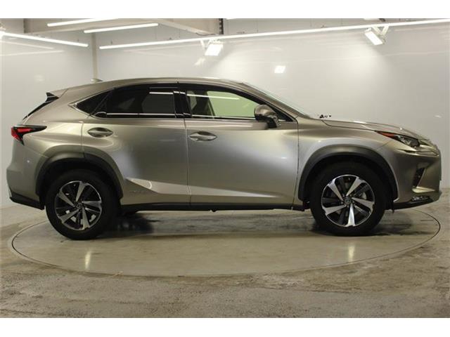 Lexus NX 5