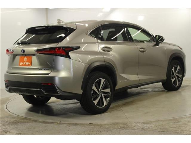 Lexus NX 6