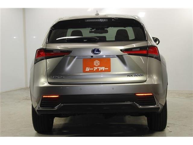 Lexus NX 7