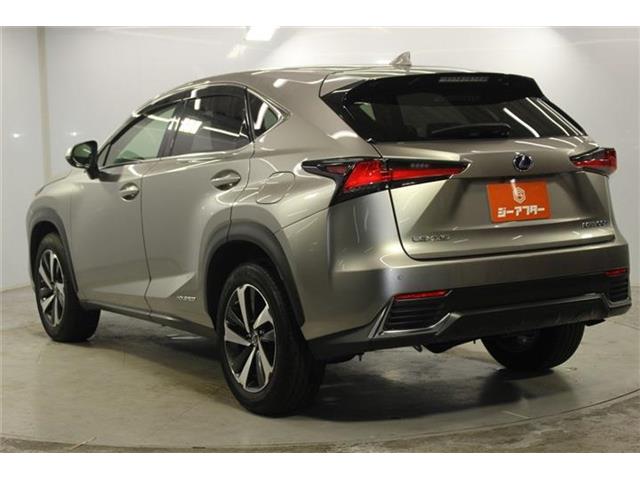 Lexus NX 8