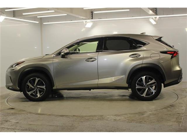 Lexus NX 9