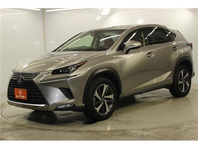 Lexus NX 10