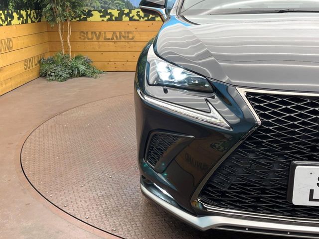 Lexus NX 12