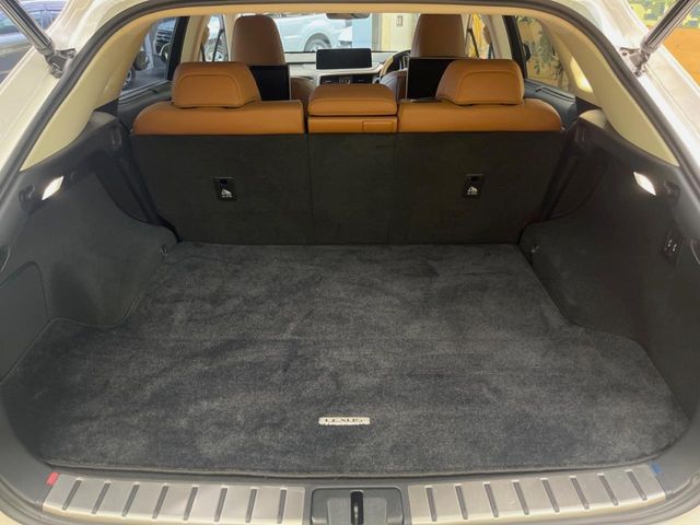 Lexus RX 11