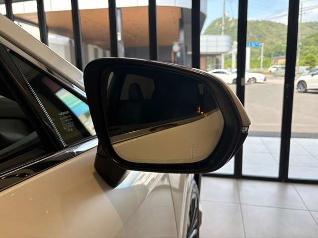 Lexus RX 11
