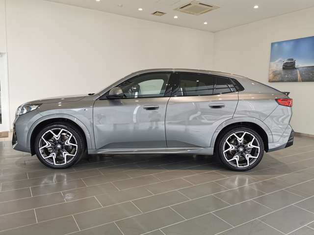BMW X2 10