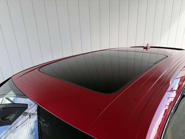 Lamborghini ウルス 13