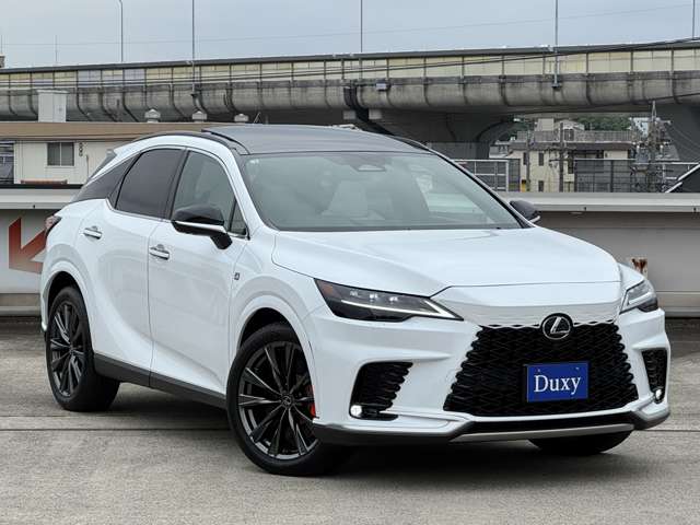 Lexus RX 11