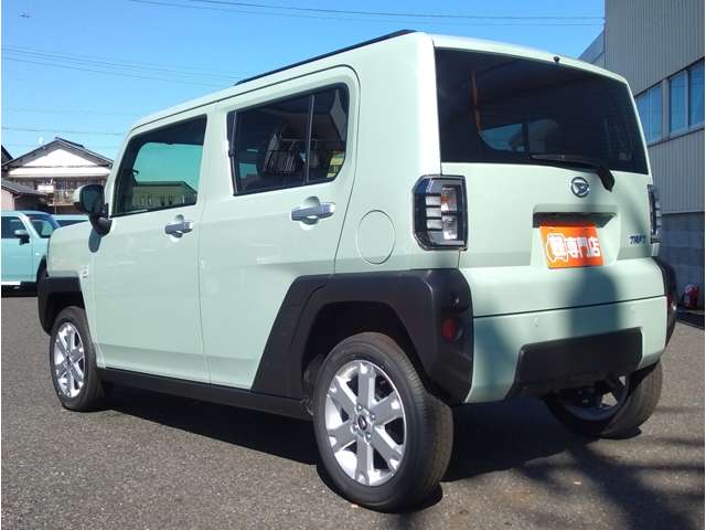 Daihatsu Taft 11