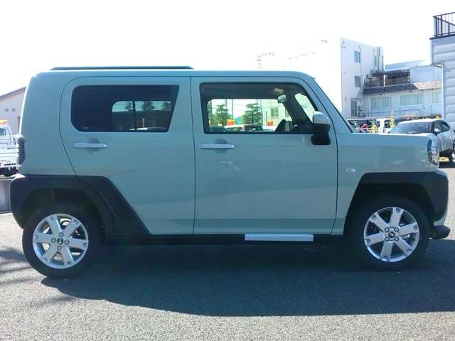 Daihatsu Taft 8