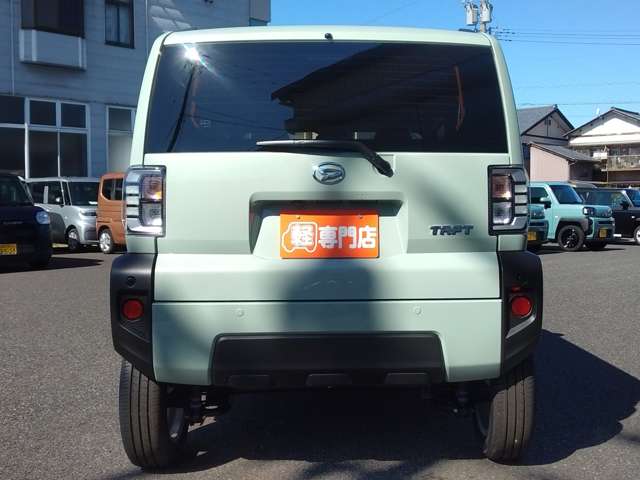 Daihatsu Taft 10
