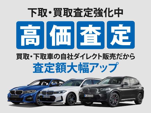 BMW iX1 5