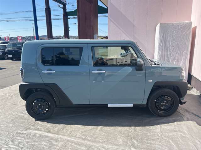 Daihatsu Taft 9