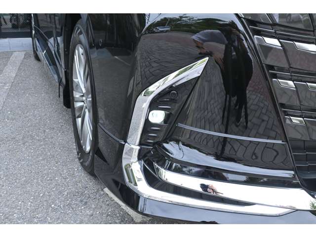 Toyota Alphard 12