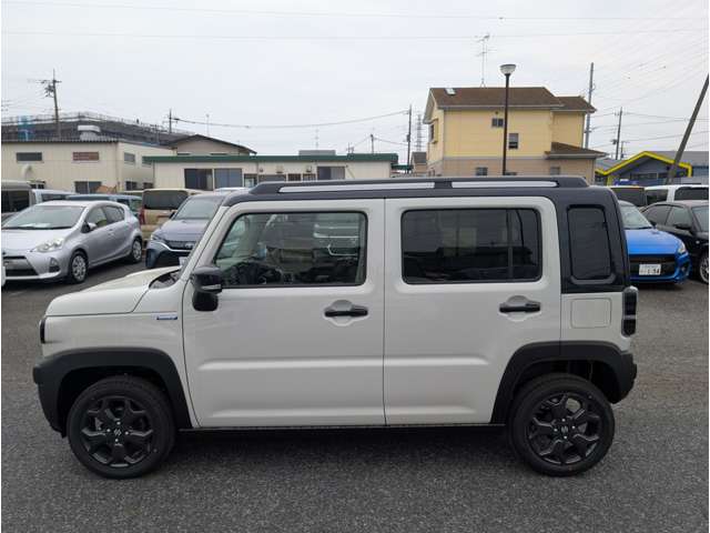 Suzuki Hustler 11