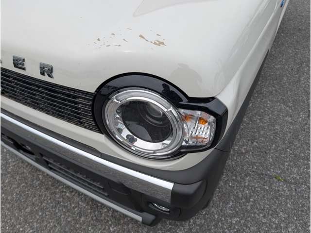 Suzuki Hustler 12
