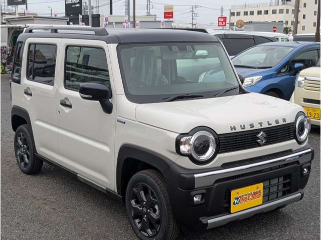 Suzuki Hustler 6