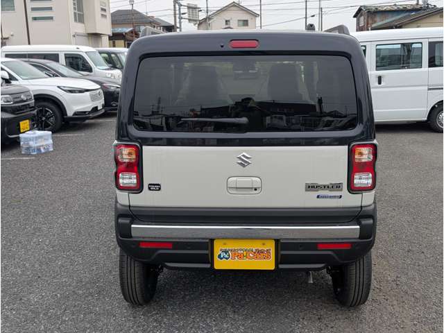 Suzuki Hustler 9