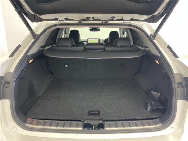 Lexus RX 10