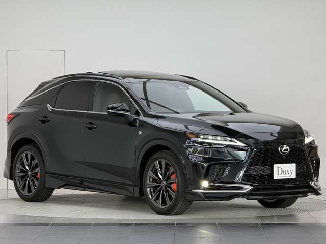 Lexus RX 11