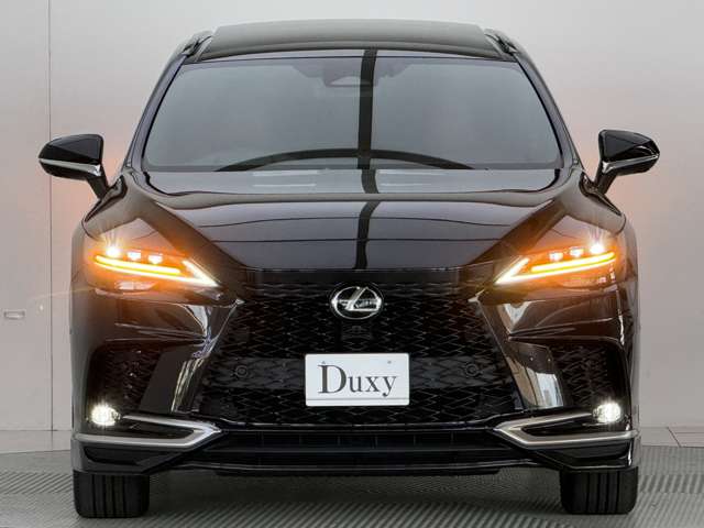 Lexus RX 12