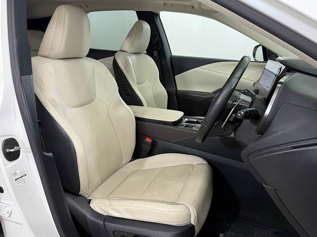 Lexus RX 11