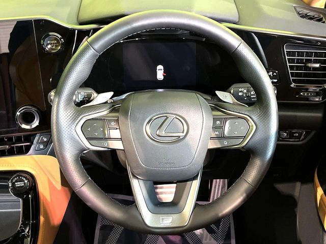 Lexus NX 11