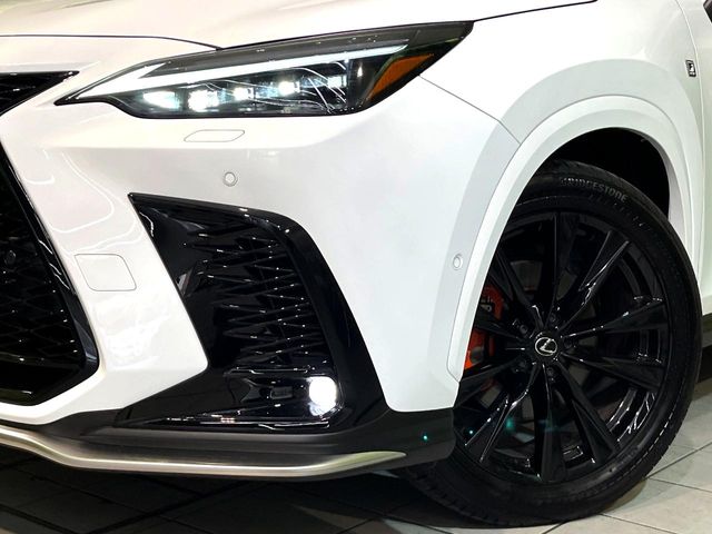 Lexus NX 12