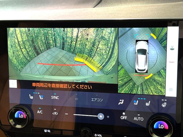 Lexus NX 5