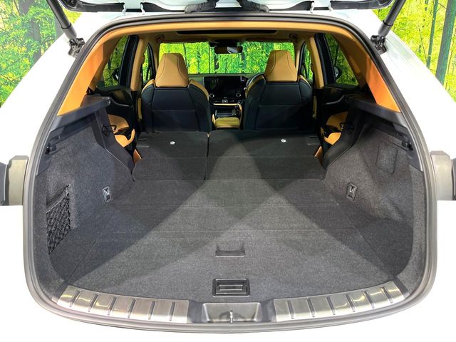 Lexus NX 10