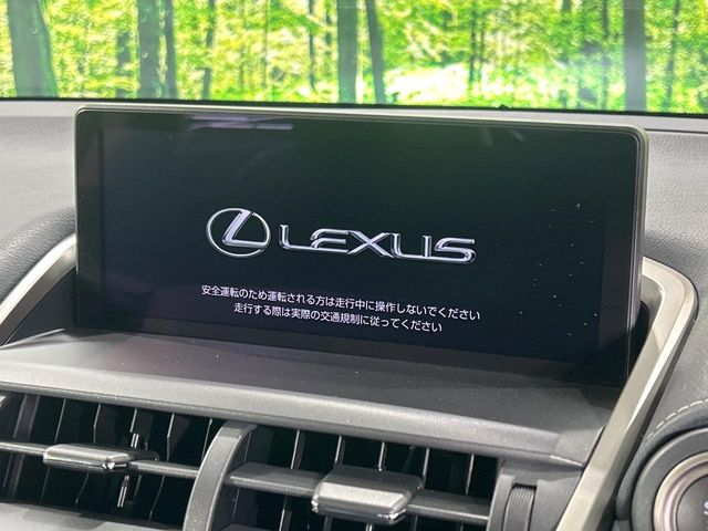 Lexus NX 3