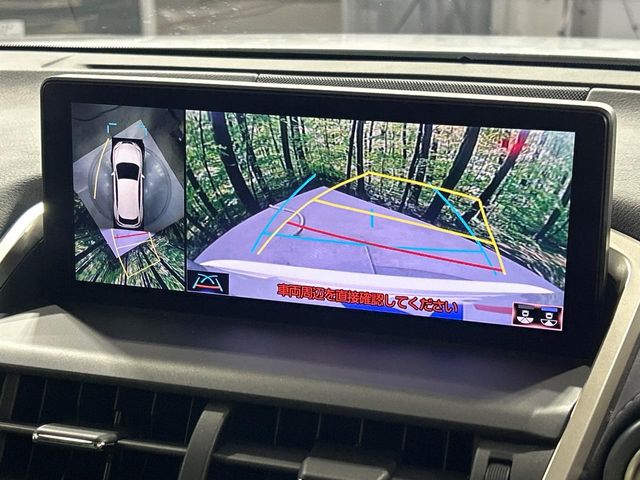 Lexus NX 4