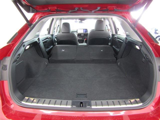 Lexus RX 11
