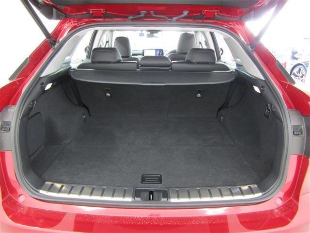 Lexus RX 10