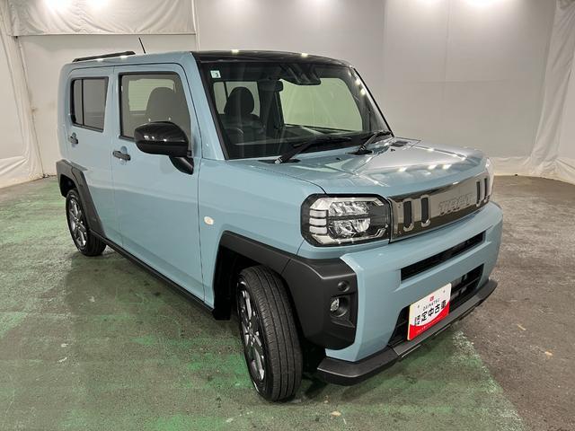 Daihatsu Taft 9