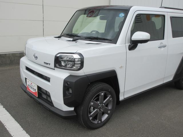 Daihatsu Taft 6