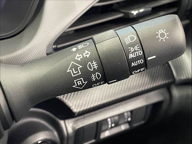 Subaru Crosstrek 9