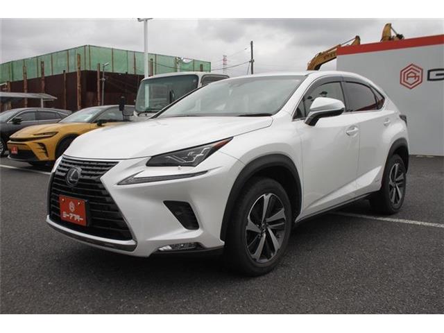 Lexus NX 11