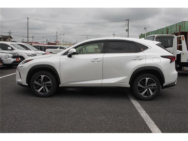 Lexus NX 12