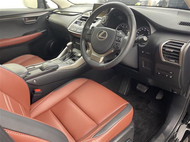 Lexus NX 11