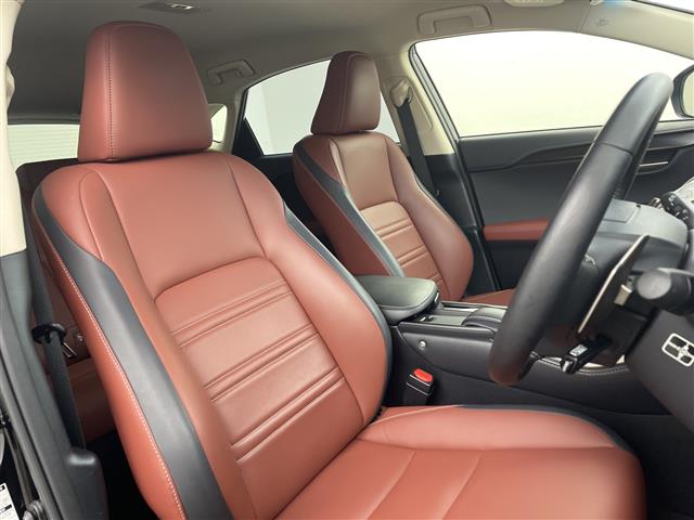 Lexus NX 12
