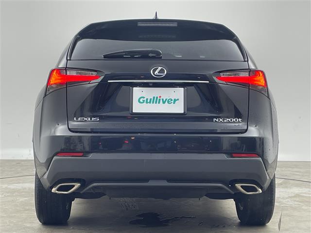 Lexus NX 7